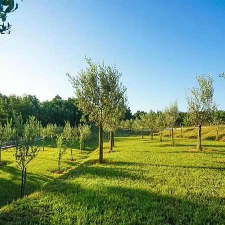 Stylish With Swimming Pool And Garden *